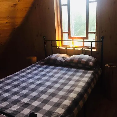 Campsite Lesneecho - Domek W Drzewach Zdzar